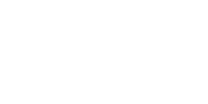 Логотип Орбита белый